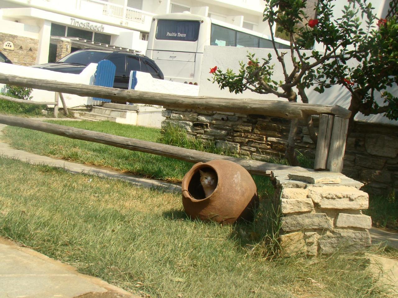 Vrahos Studios Kionia Exterior foto